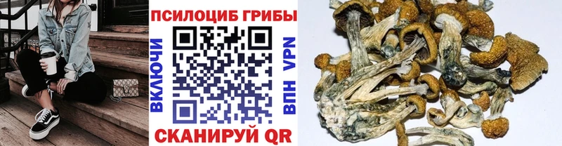 MEGA ссылка  как найти   Ладушкин  Галлюциногенные грибы ЛСД 